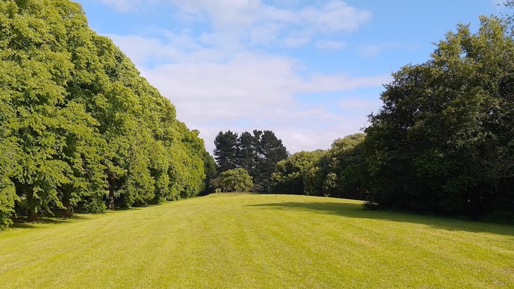 Our beautiful green space at Pontcanna Fields