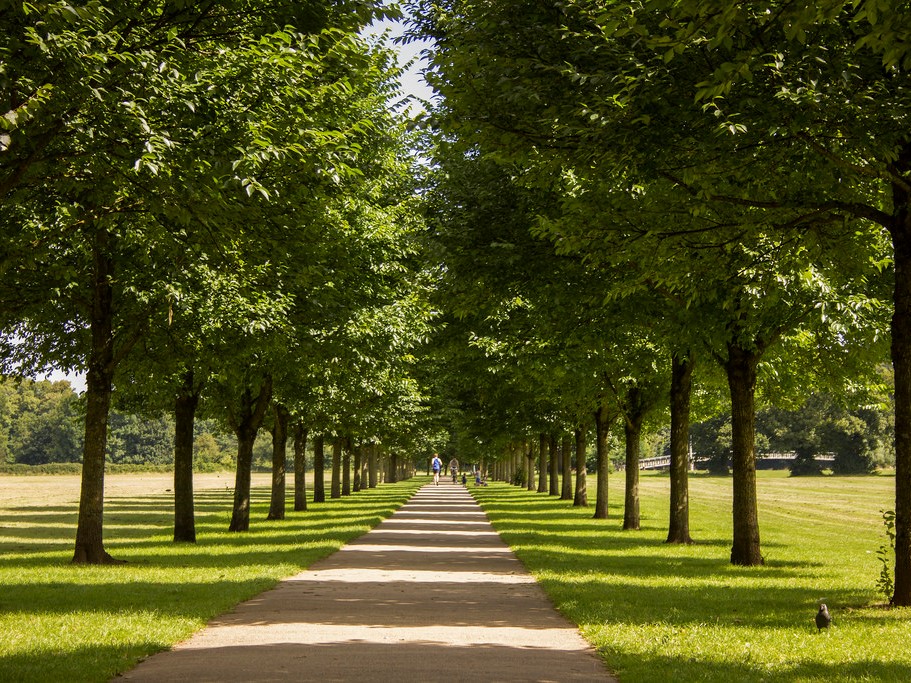 Path running alongside Pontcanna Fields